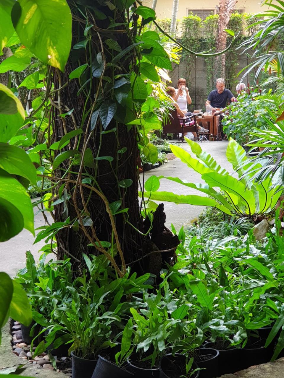 Baan Baimai Boutique Room Ayutthaya Eksteriør billede